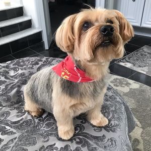 Meet your Posher, Bob